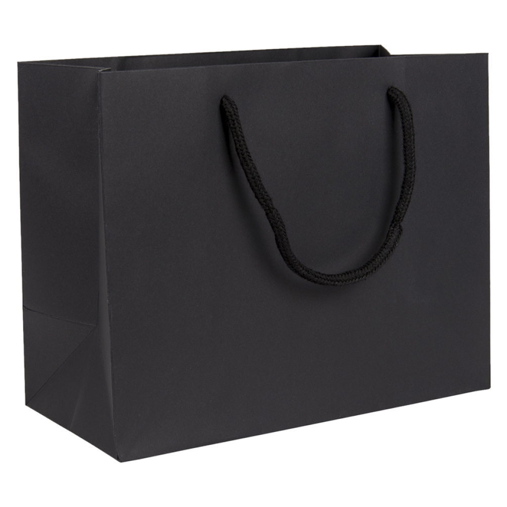 Medium Landscape Black Paper Gift Bag With Rope Handles