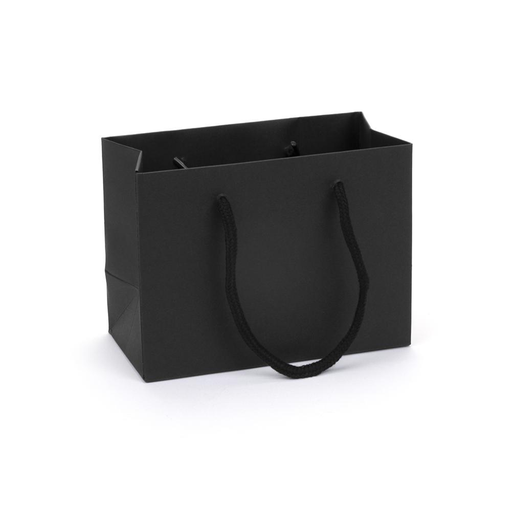 Small Landscape Paper Gift Bag, Rope Handles