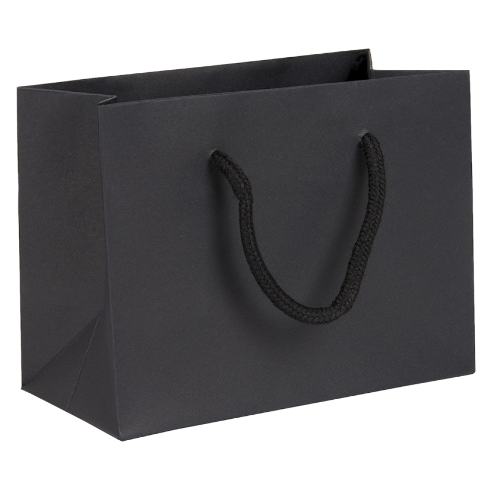 Small Landscape Black Paper Gift Bag With Rope Handles