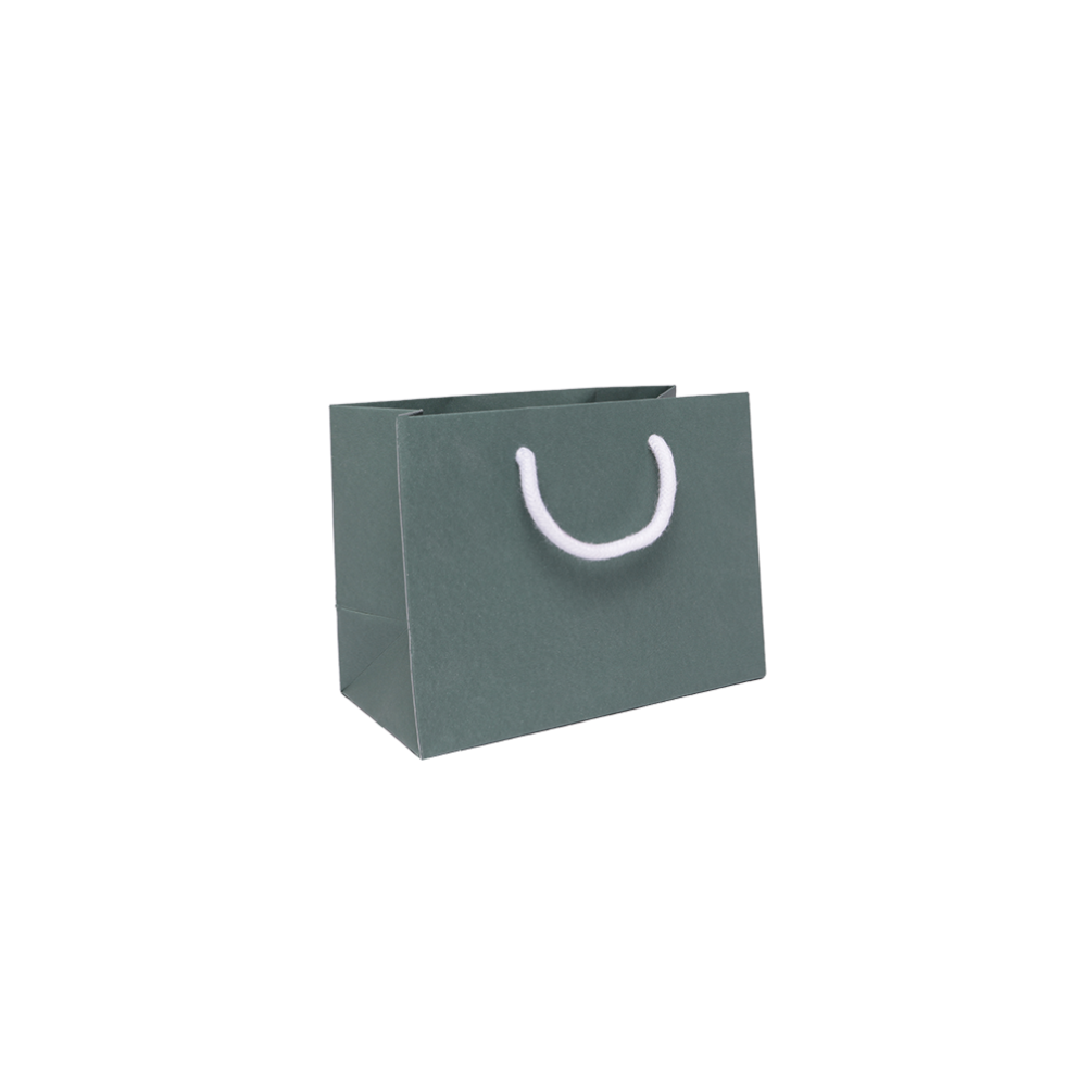 Small Landscape Forest Green Paper Gift Bag with Rope Handles