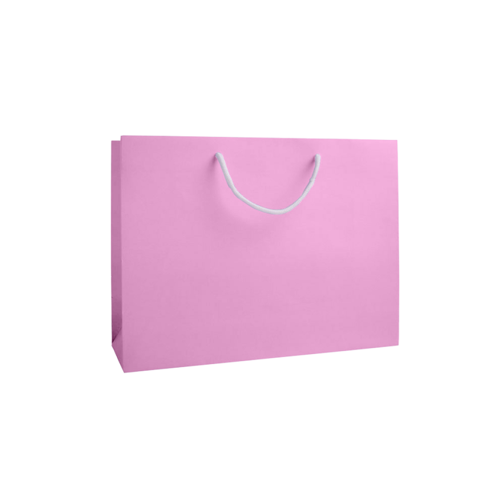 Fondant Pink Large Landscape Paper Gift Bag with Rope Handles Tiny Box Company