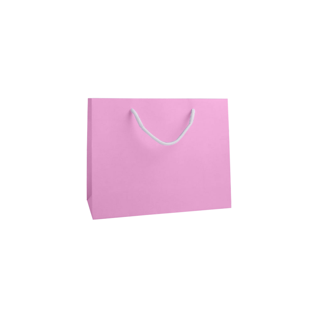 Medium Landscape Fondant Pink Paper Gift Bag With Rope Handles