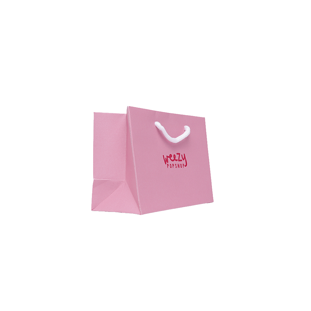 Small Landscape Fondant Pink Paper Gift Bag with Rope Handles