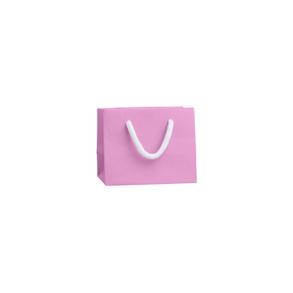 Extra Small Landscape Fondant Pink Paper Gift Bag with Rope Handles