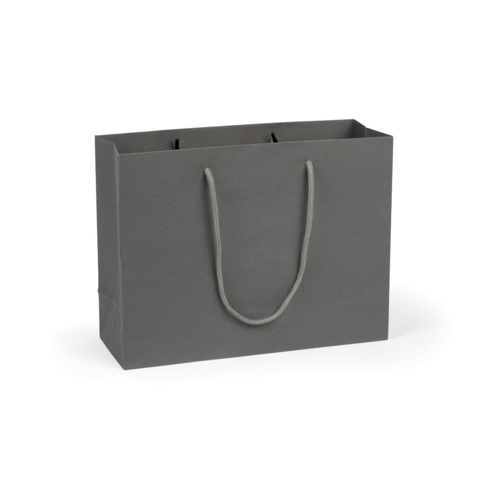 Large Landscape Paper Gift Bag | Rope Handles 