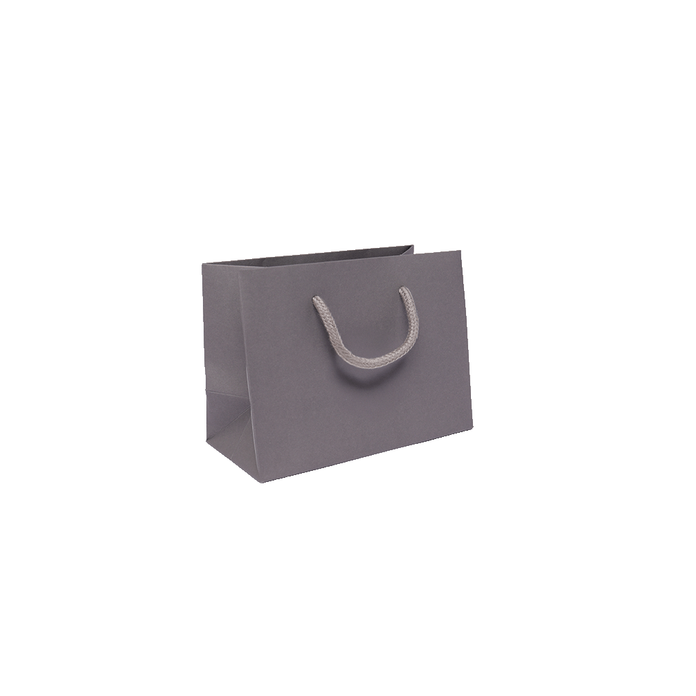 Small Landscape Grey Paper Gift Bag With Rope Handles