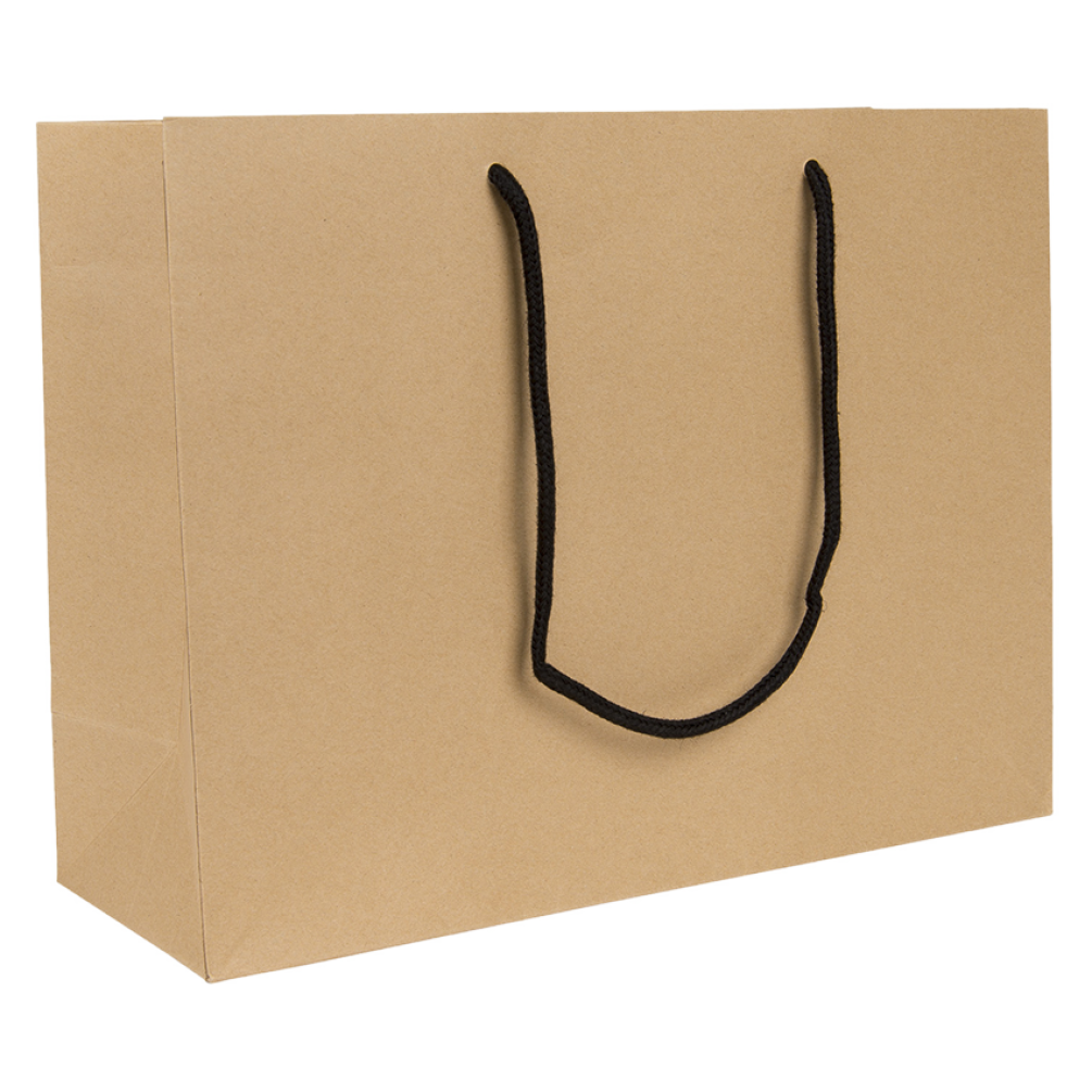 Large Landscape Kraft Paper Gift Bag With Rope Handles