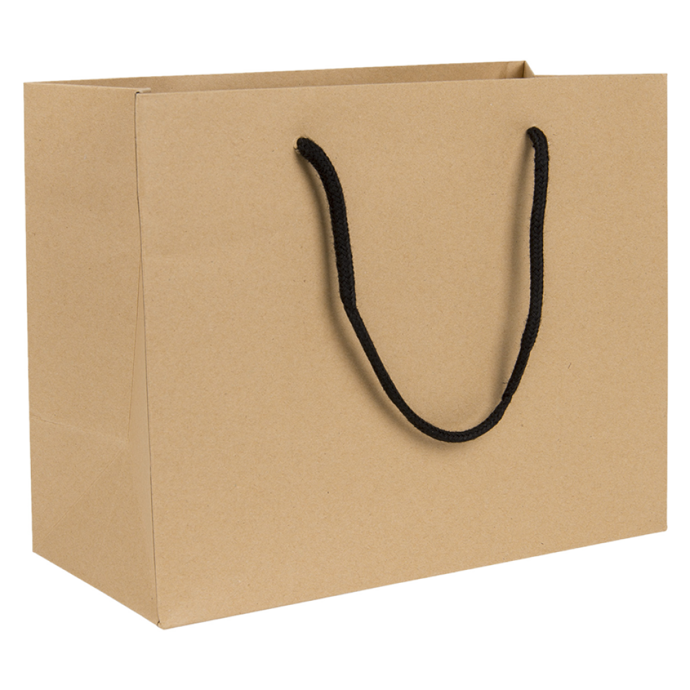 Digital Printed Medium Landscape Kraft Brown Paper Gift Bag With Rope Handles