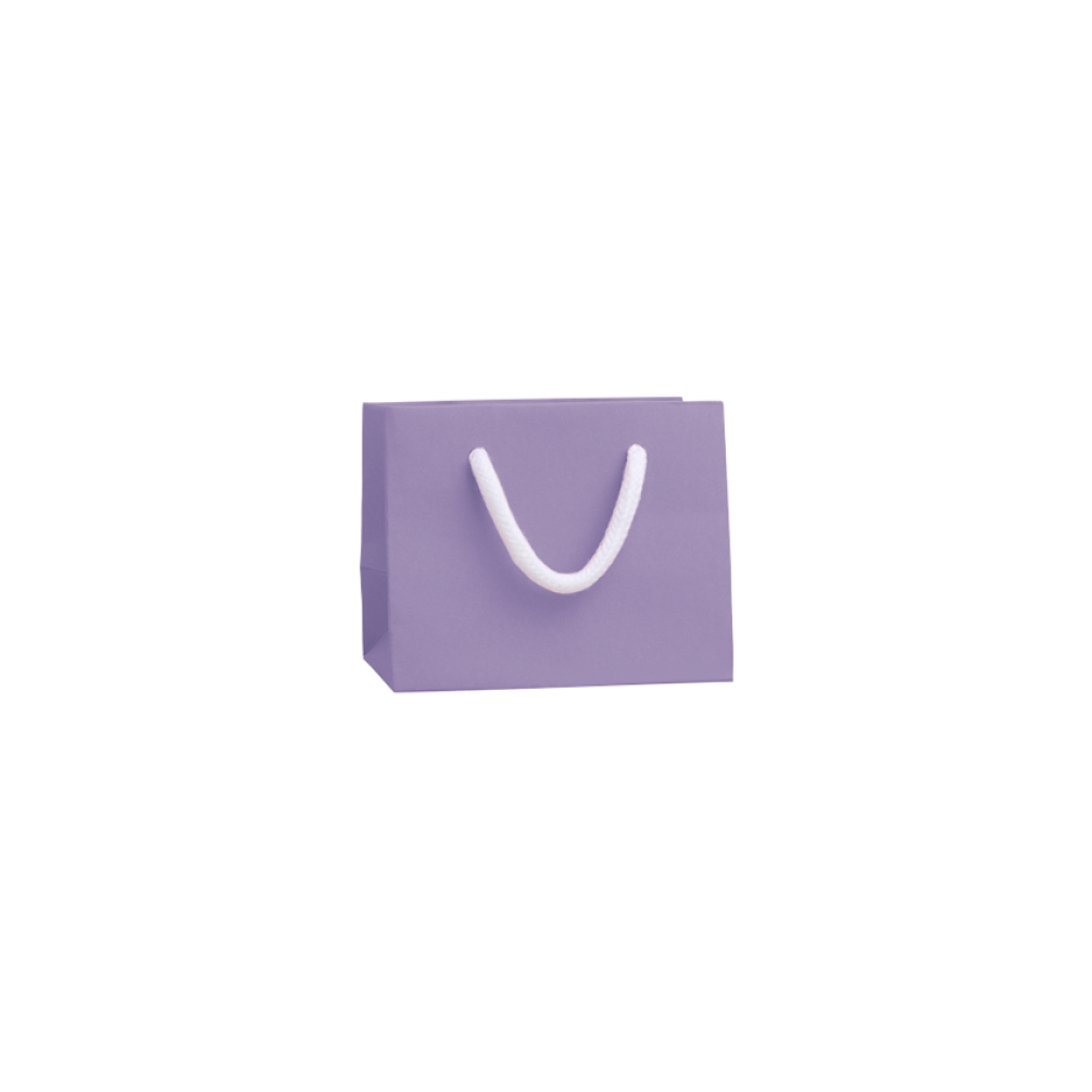 Extra Small Landscape Lilac Paper Gift Bag with Rope Handles