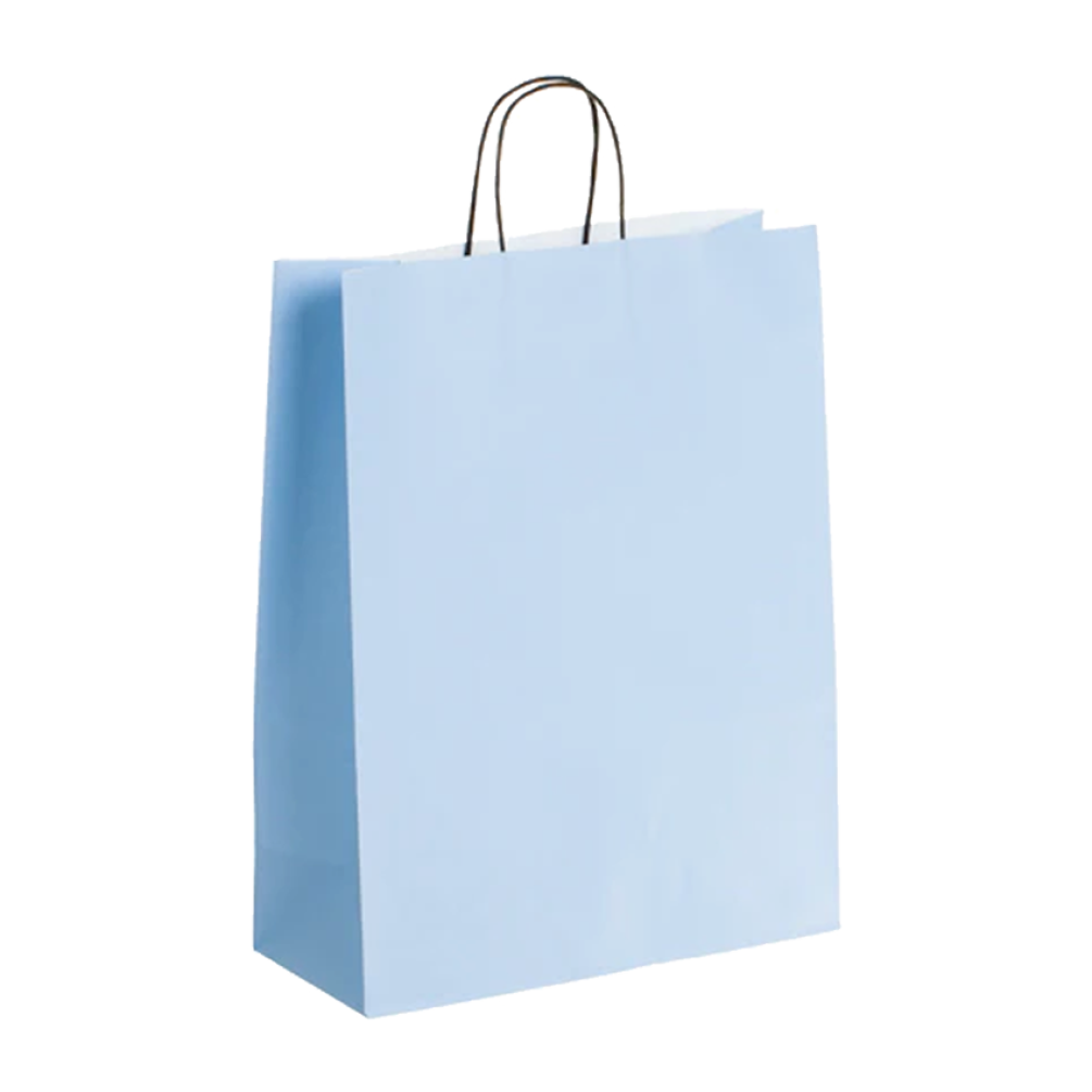  Pack of 25 Large Light Blue Paper Gift Bag with Paper Twisted Handles
