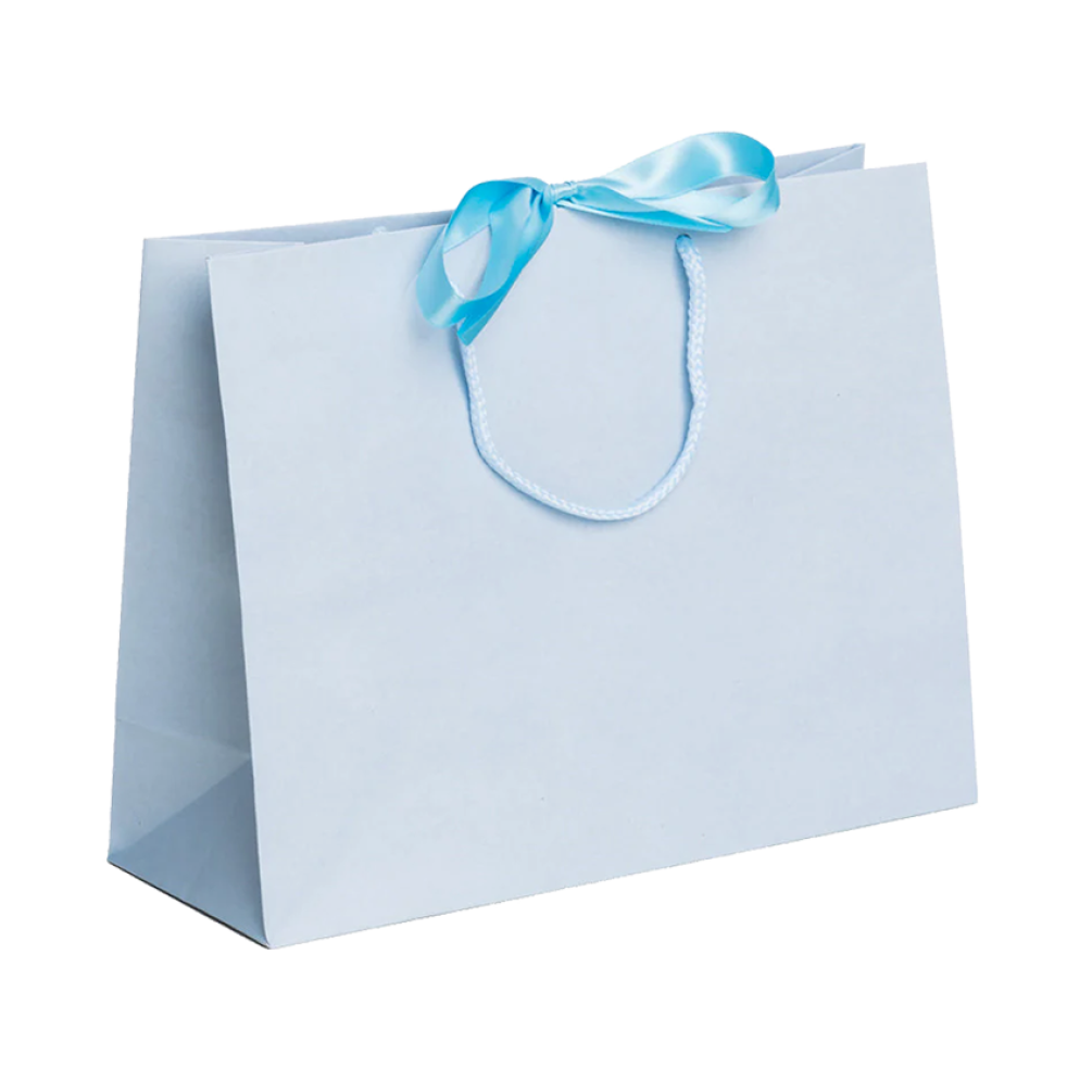 Pack of 25 Large Landscape Light Blue Paper Gift Bags With Rope Handles and Ribbon