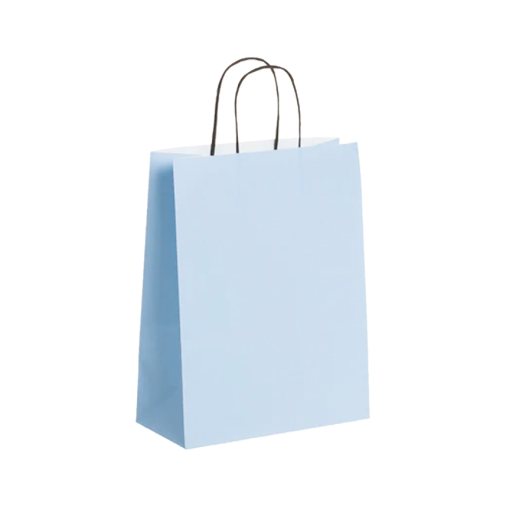 Pack of 25 Medium Light Blue Paper Gift Bag With Paper Twisted Handles