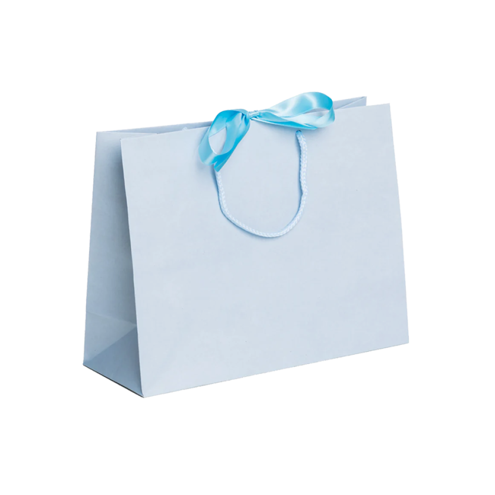 Pack of 25 Medium Landscape Light Blue Paper Gift Bags With Rope Handles and Ribbon