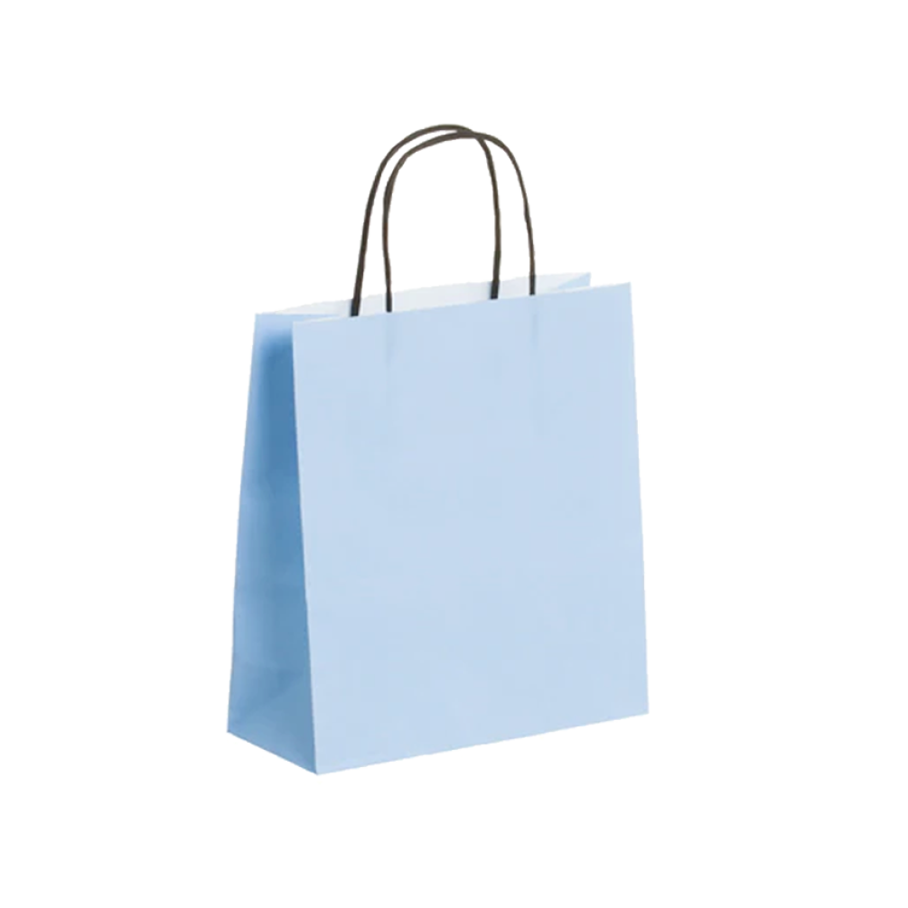 Pack of 25 Small Light Blue Paper Gift Bag With Paper Twisted Handles