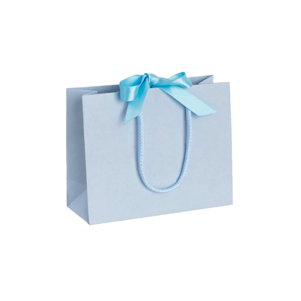 Pack of 25 Small Landscape Light Blue Paper Gift Bags With Rope Handles and Ribbon