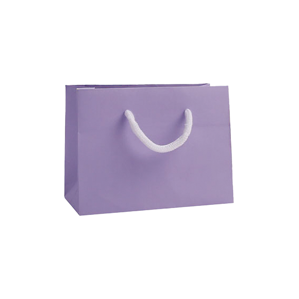 Small Landscape Lilac Paper Gift Bag With Rope Handles