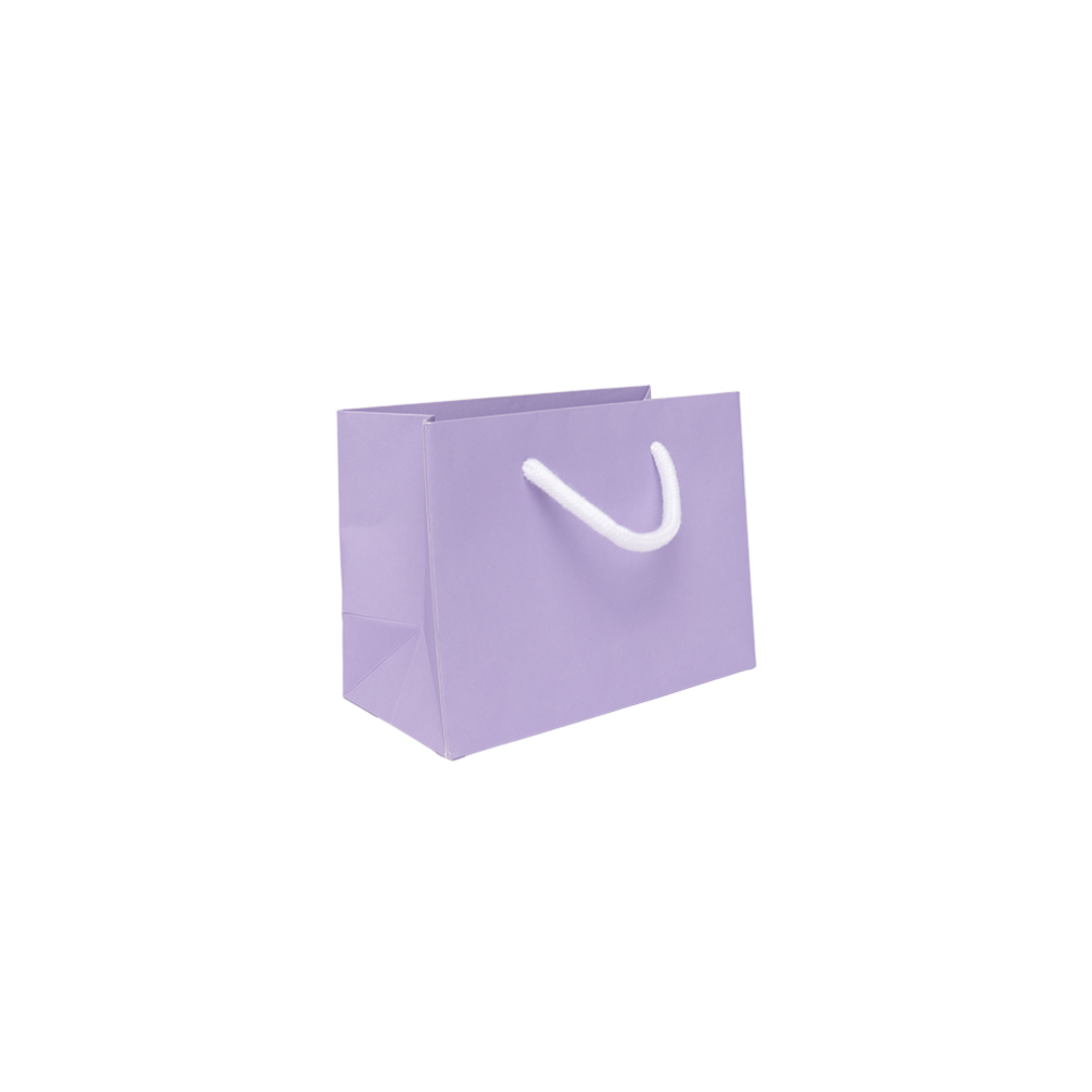 Small Landscape Lilac Paper Gift Bag With Rope Handles