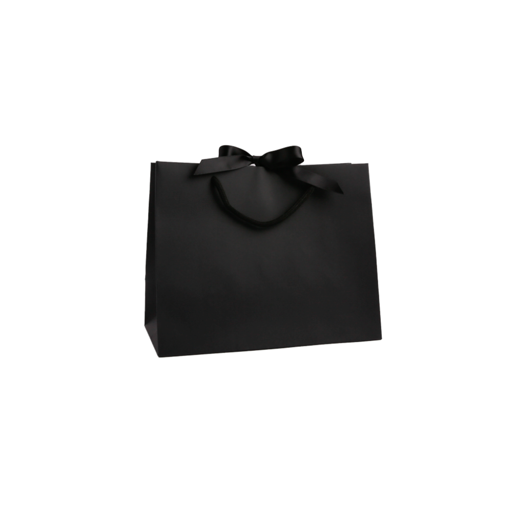 Medium Landscape Black Paper Gift Bag With Rope Handles and Ribbon 