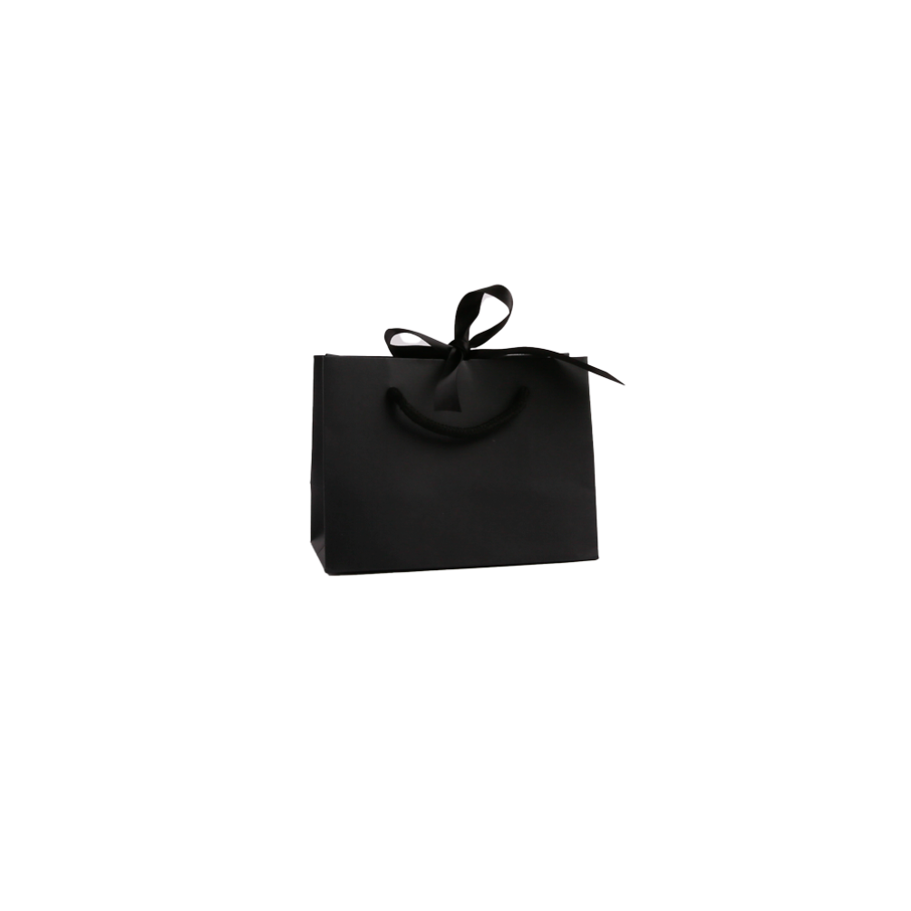 Small Landscape Black Paper Gift Bag With Rope Handles and Ribbon 