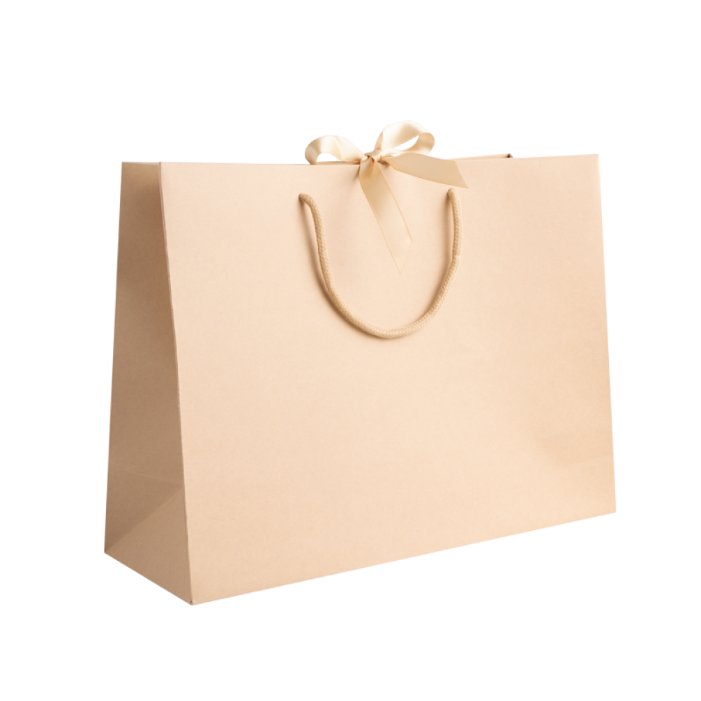 Large Landscape Kraft Gift Bag With Rope Handles and Ribbon