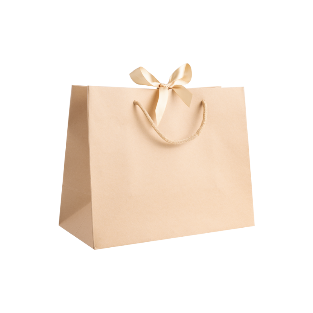 Medium Landscape Kraft Gift Bag With Rope Handle and Ribbon