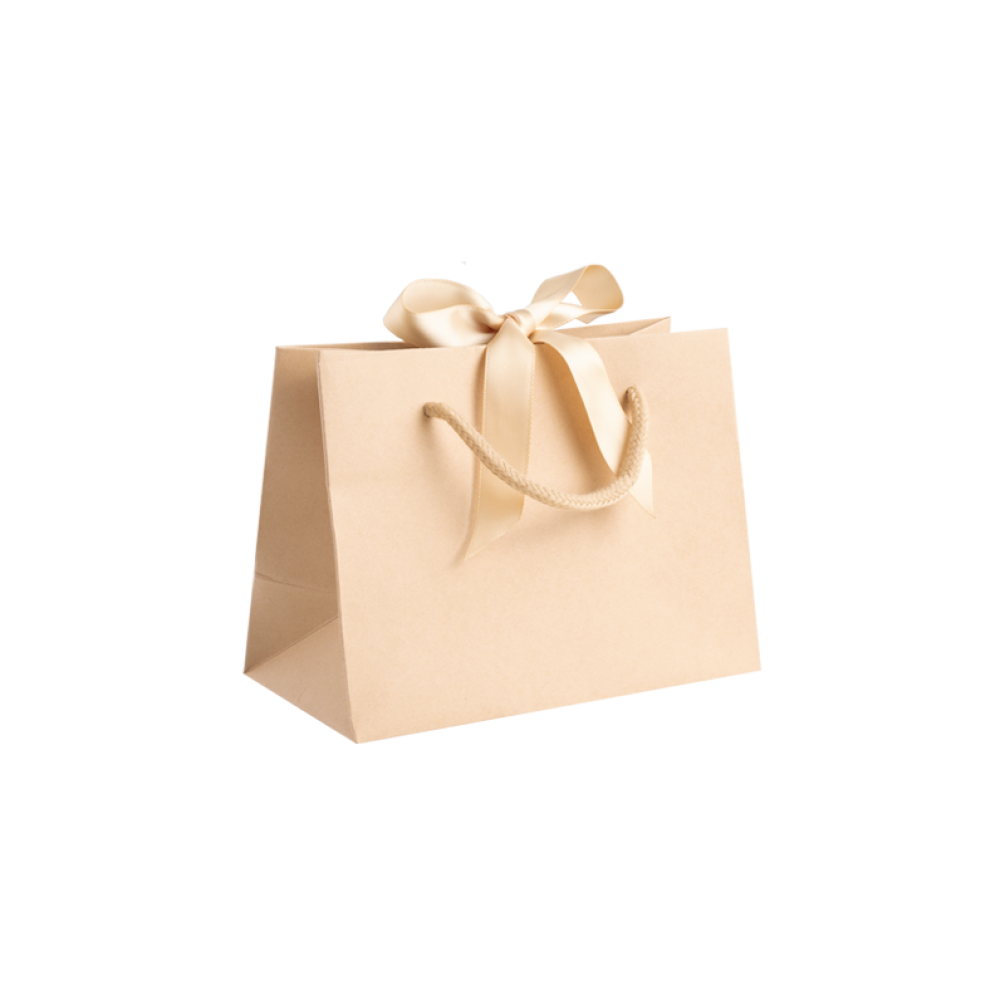 Small Landscape Kraft Gift Bag With Rope Handles and Ribbon