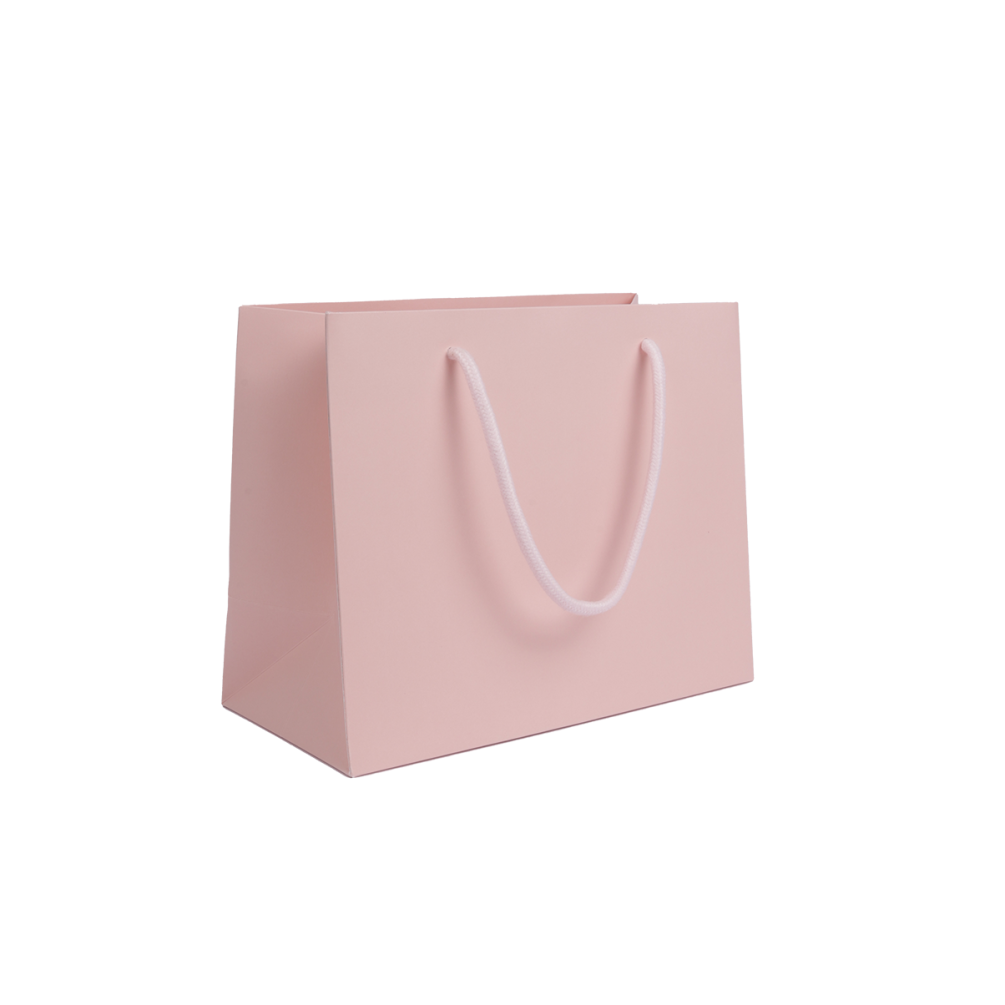 Medium Pink Landscape Paper Gift Bag With Rope Handles