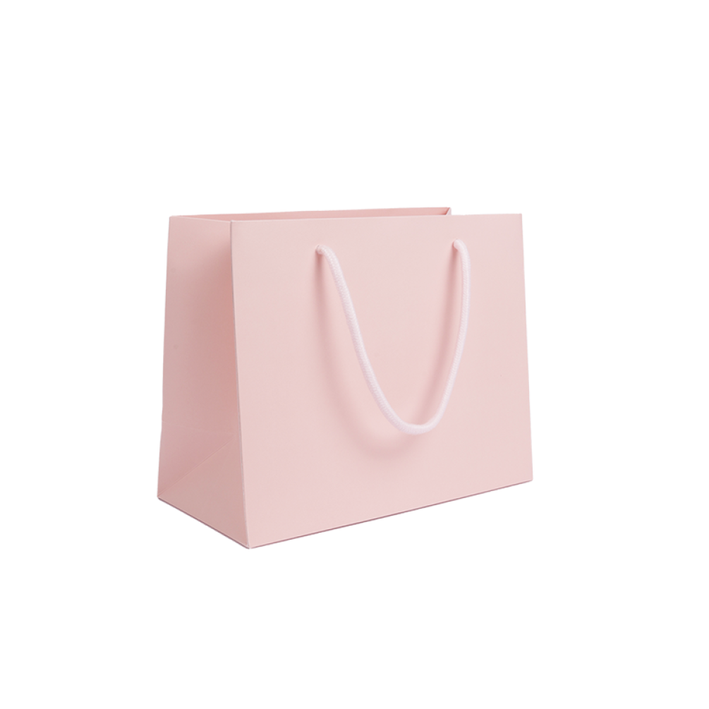 Medium Rose Quartz Pink Landscape Paper Gift Bag With Rope Handles