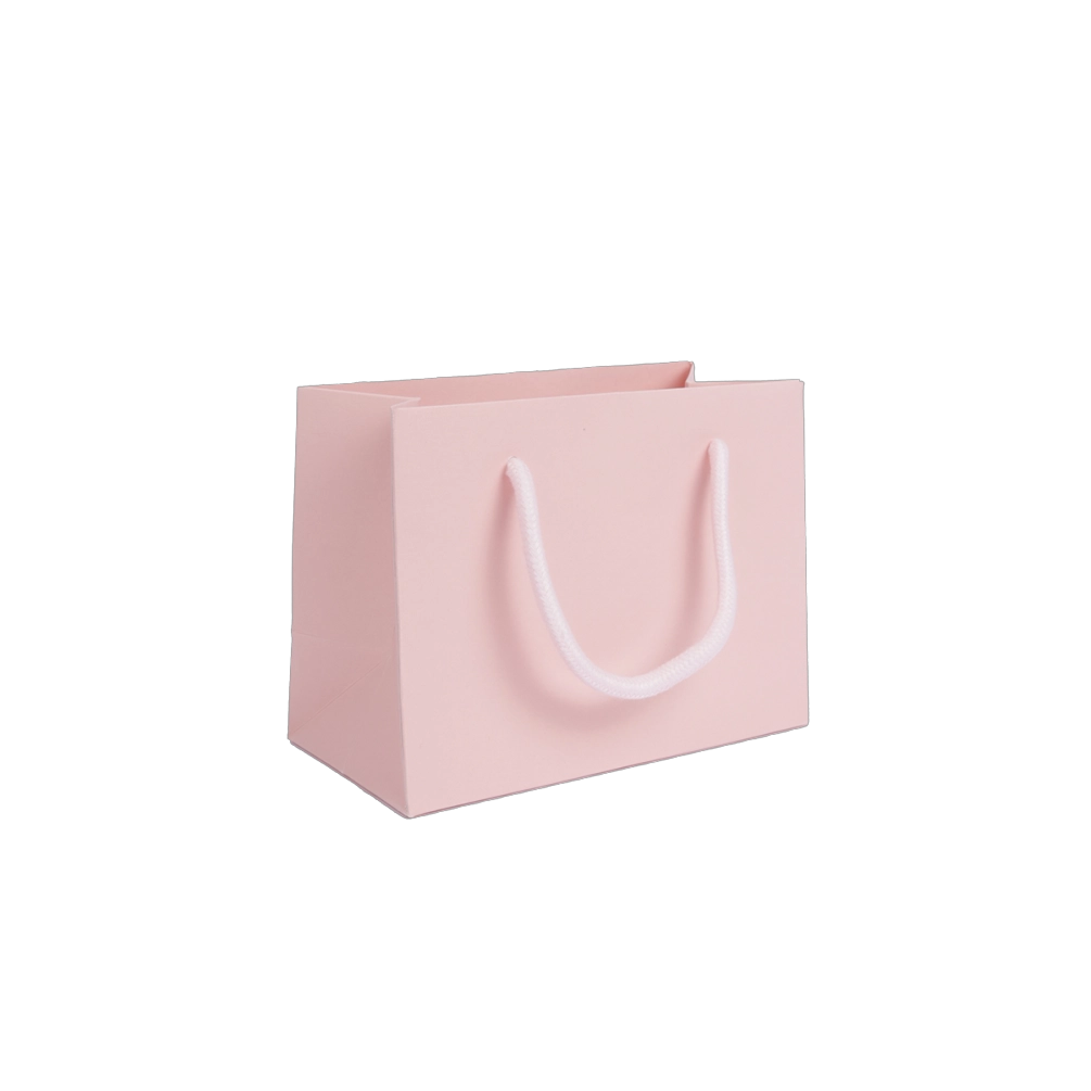 Small Landscape Pink Paper Gift Bag With Rope Handles