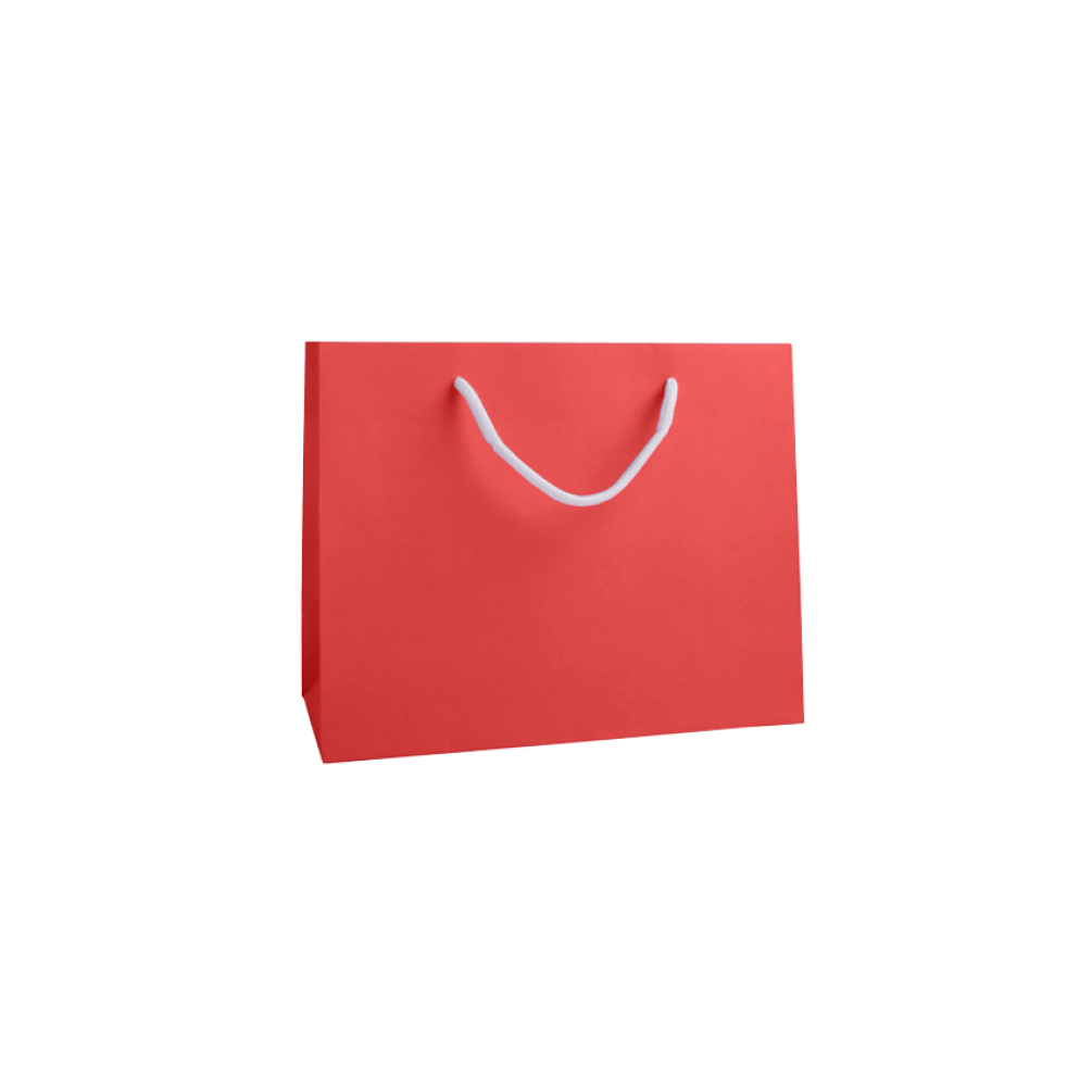 Medium Landscape Radiant Red Paper Gift Bag with Rope Handles