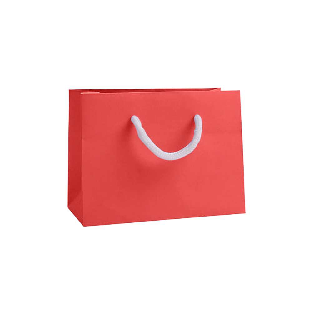Small Landscape Radiant Red Paper Gift Bag with Rope Handles