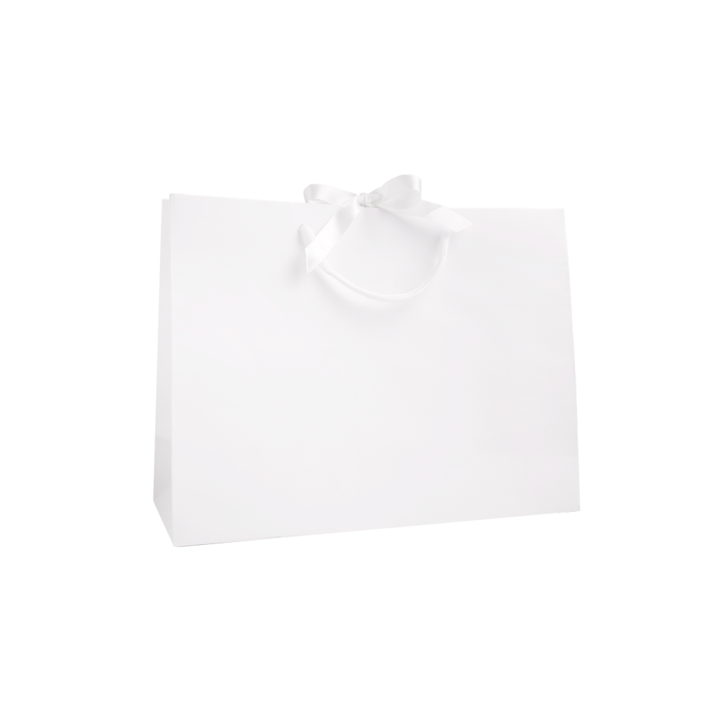 Large Landscape White Paper Gift Bag With Rope Handles and Ribbon 