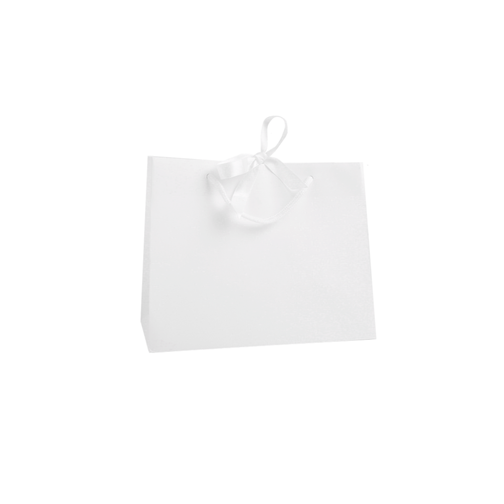 Medium Landscape White Paper Gift Bag With Rope Handles and Ribbon