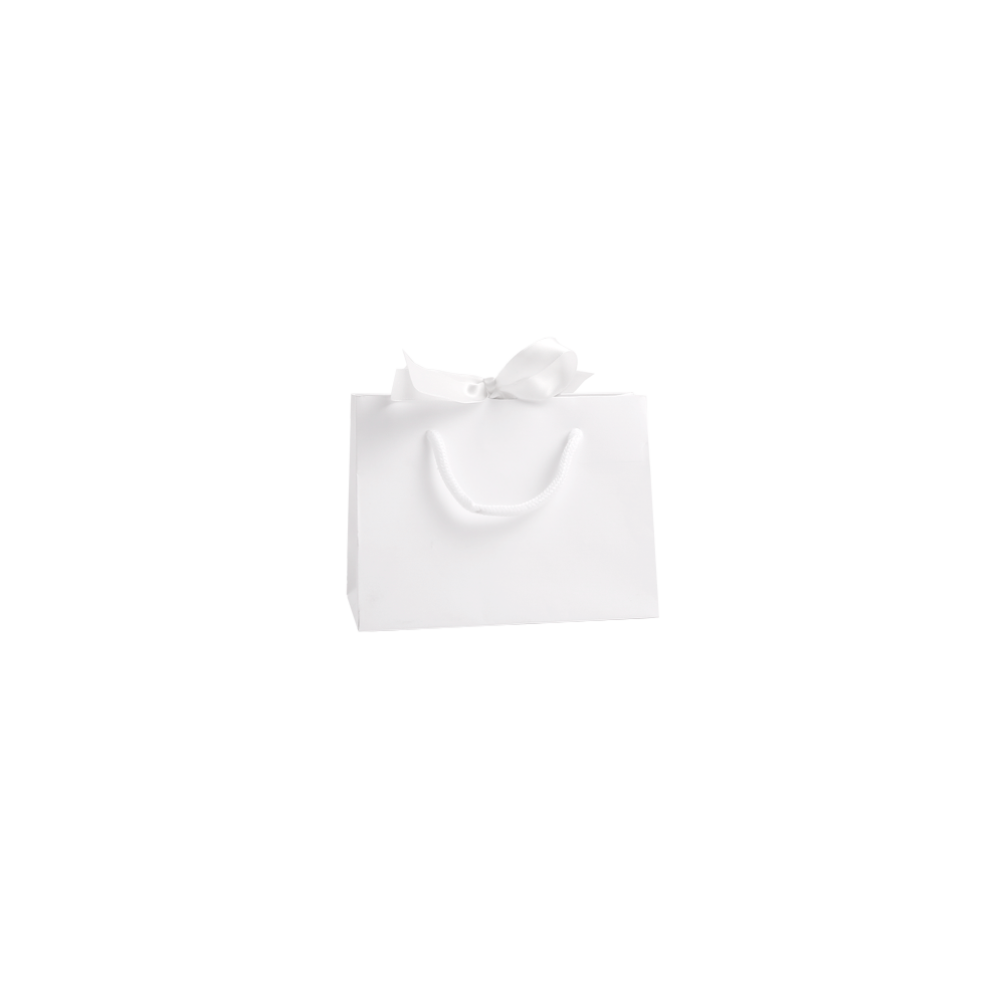 Small Landscape White Paper Gift Bag With Rope Handles and Ribbon