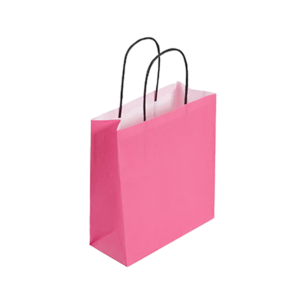 Pack of 25 Small Magenta Paper Gift Bag With Paper Twisted Handles