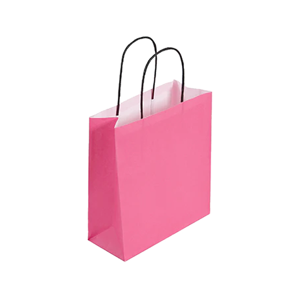 Pack of 25 Small Magenta Paper Gift Bags With Paper Twisted Handles