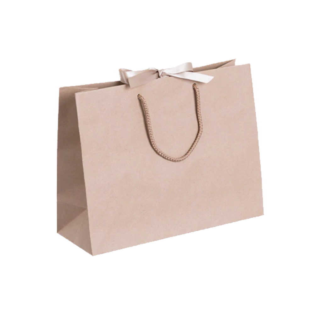 Pack of 25 Medium Landscape Kraft Paper Gift Bags With Rope Handles and Ribbon