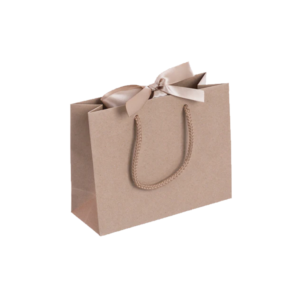 Pack of 25 Small Landscape Kraft Paper Gift Bags With Rope Handles and Ribbon