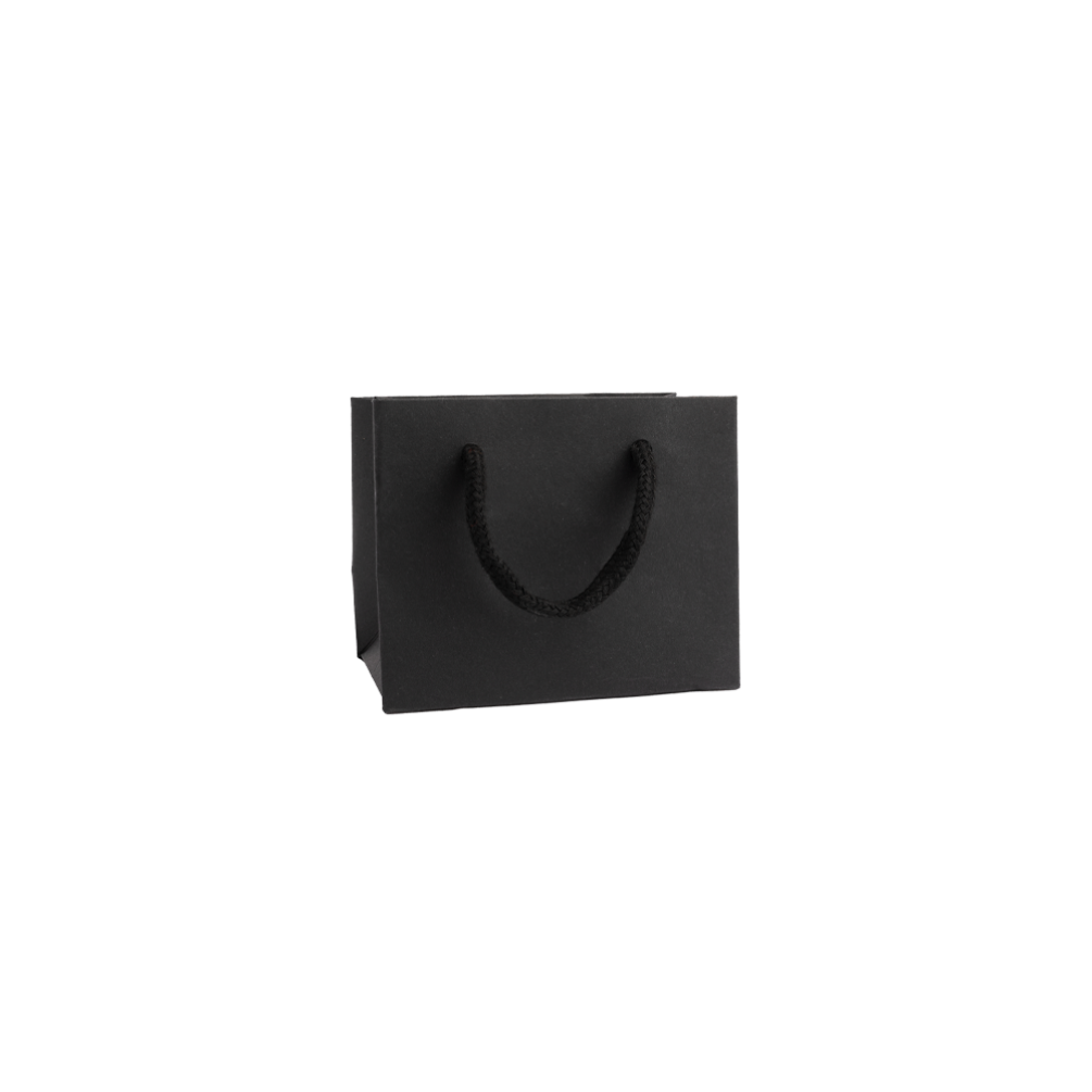 Extra Small Landscape Black Paper Gift Bag With Rope Handles