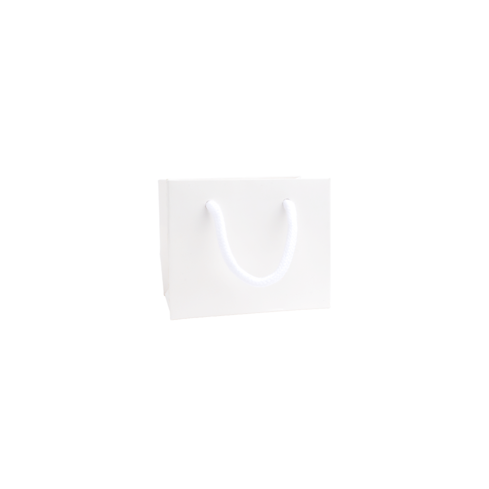 Extra Small Landscape White Paper Gift Bag With Rope Handles