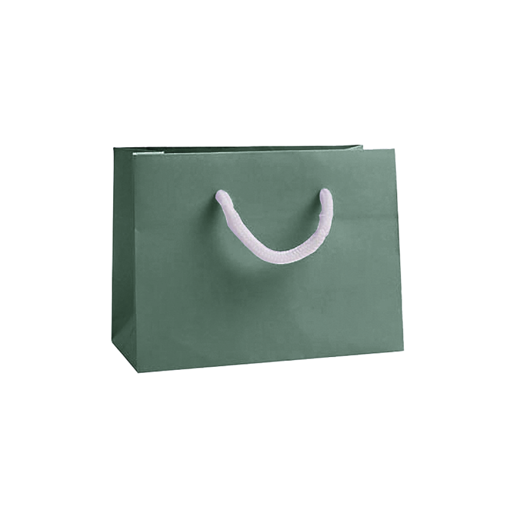 Small Landscape Forest Green Paper Gift Bag with Rope Handles
