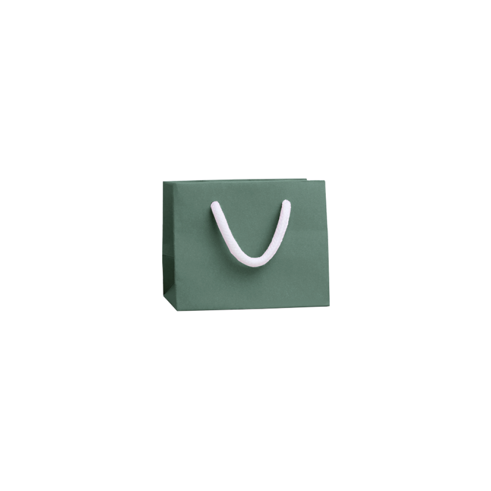 Extra Small Landscape Forest Green Paper Gift Bag with Rope Handles