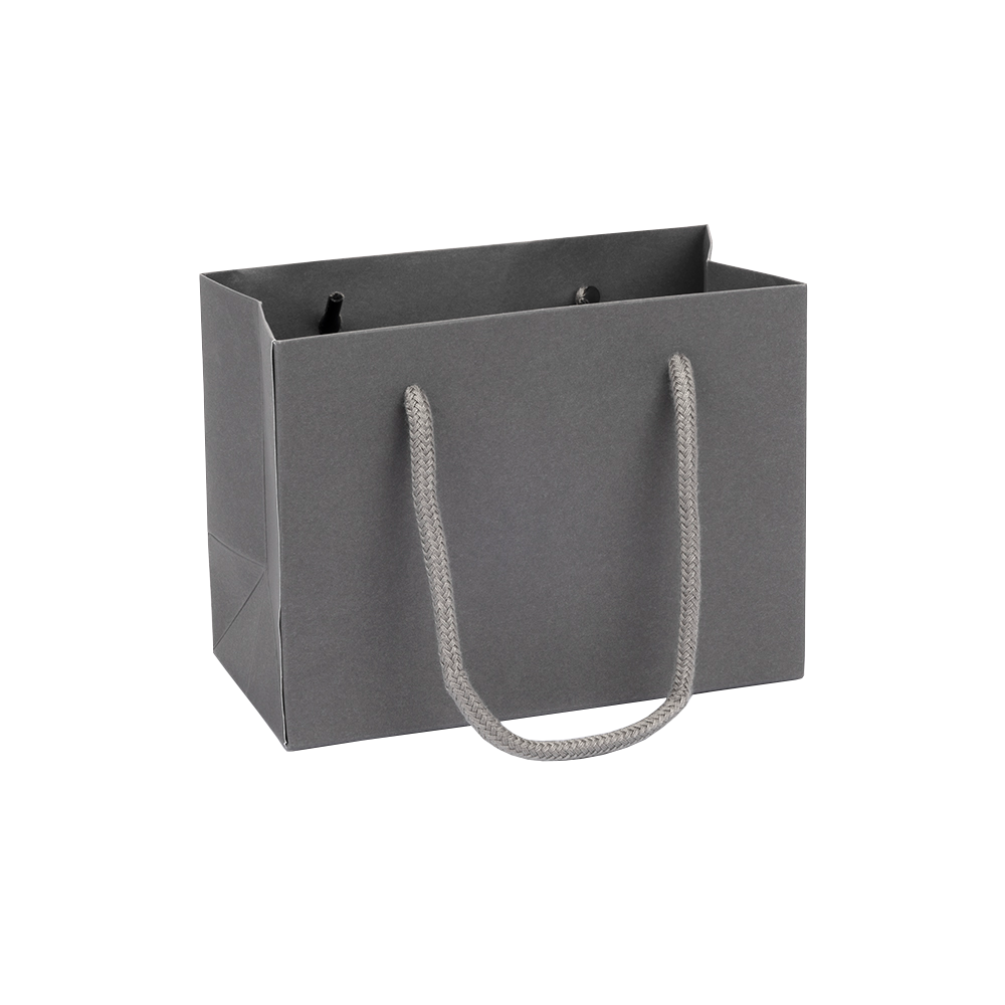 Small Landscape Grey Paper Gift Bag With Rope Handles