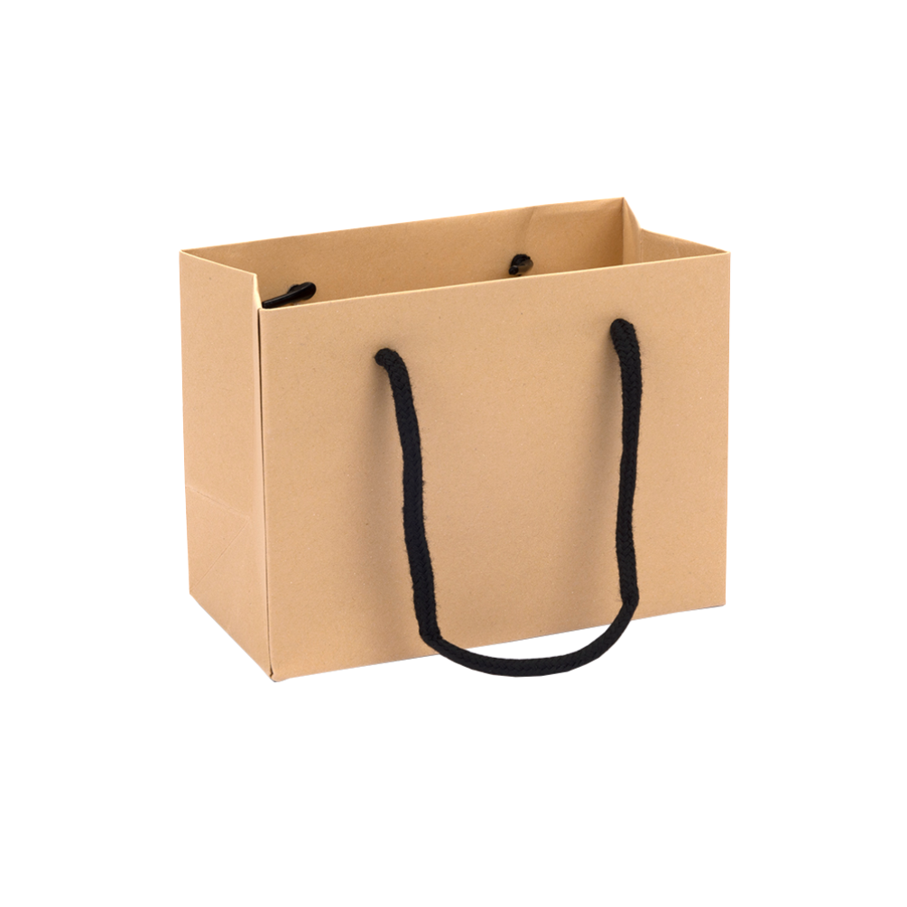 Digital Printed Small Landscape Kraft Brown Paper Gift Bag With Rope Handles