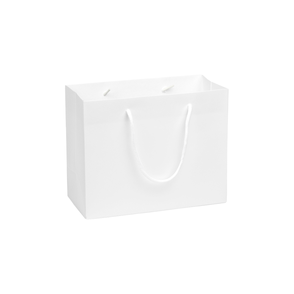 Digital Printed Medium Landscape White Paper Gift Bag With Rope Handles