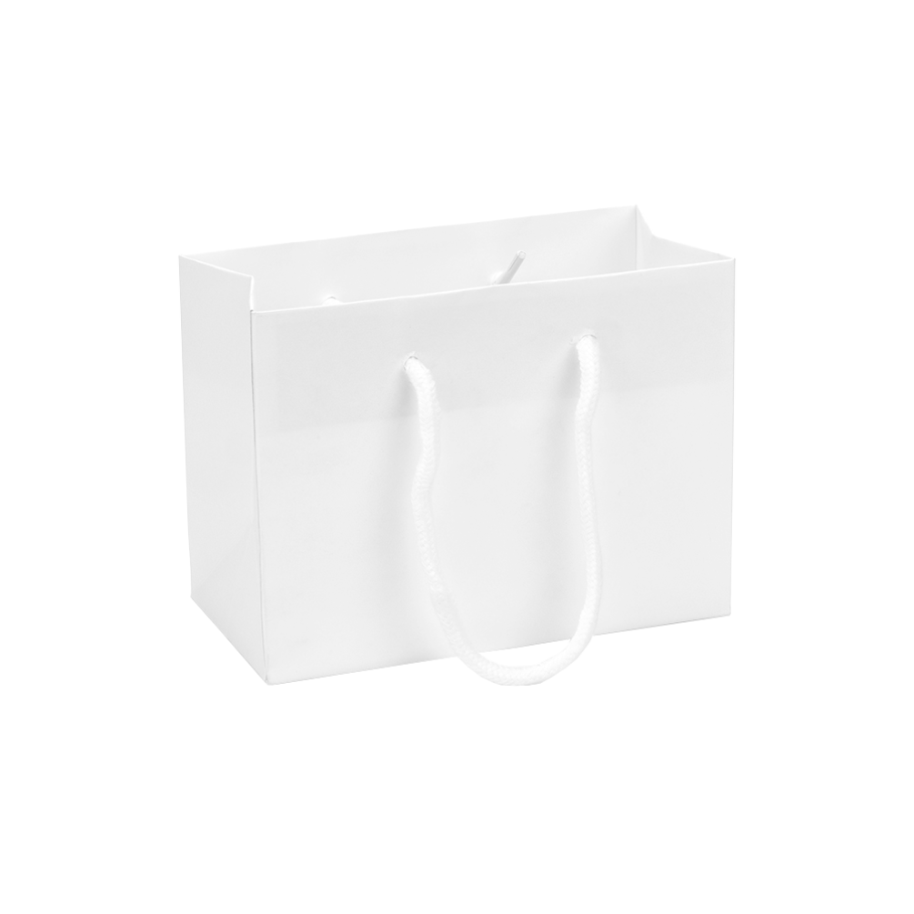 Digital Printed Small White Landscape Paper Gift Bag With Rope Handles