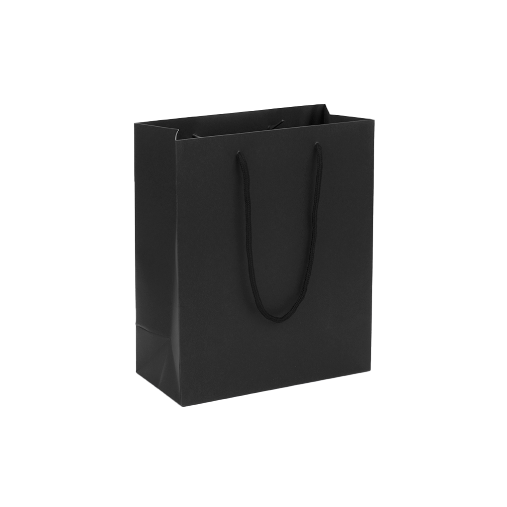 Large Portrait Black Paper Gift Bag With Rope Handles