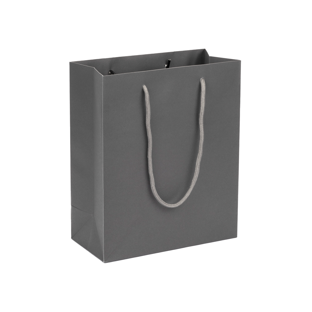 Large Portrait Grey Paper Gift Bag With Rope Handles