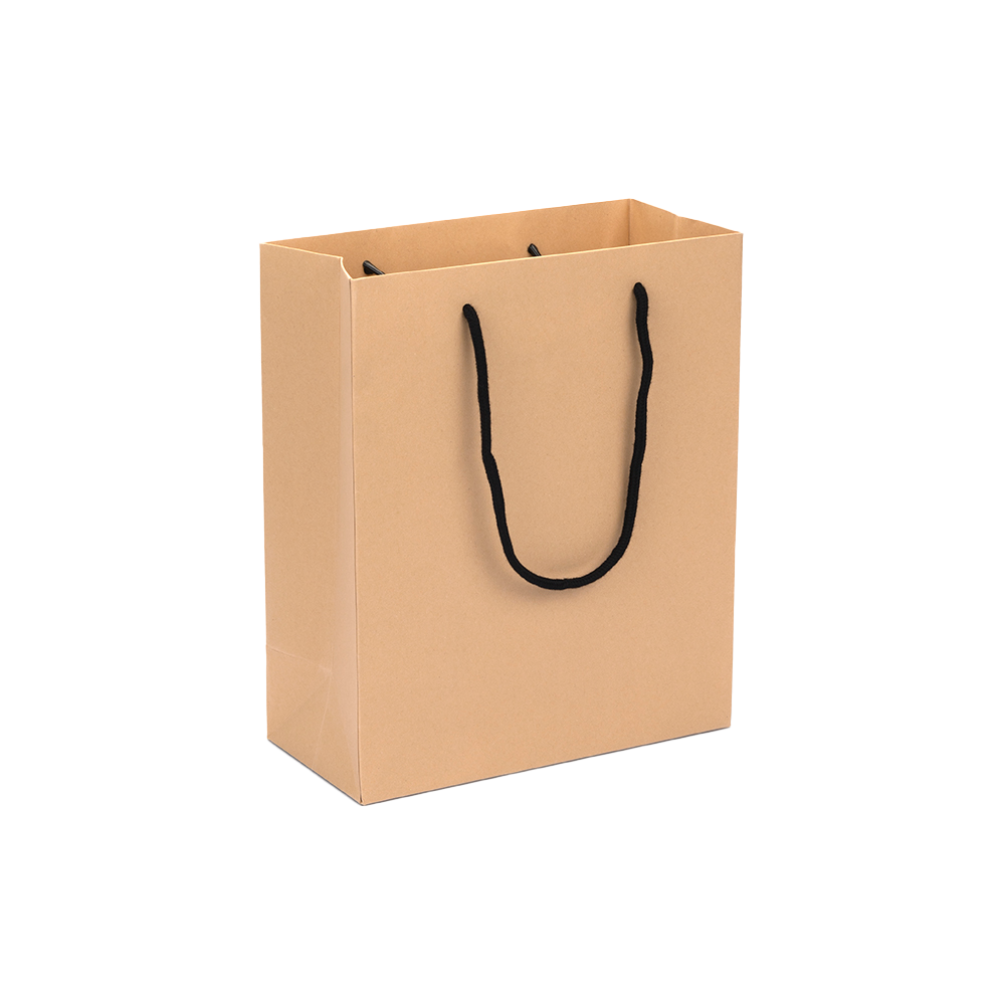 Large Portrait Kraft Paper Gift Bag With Rope Handles