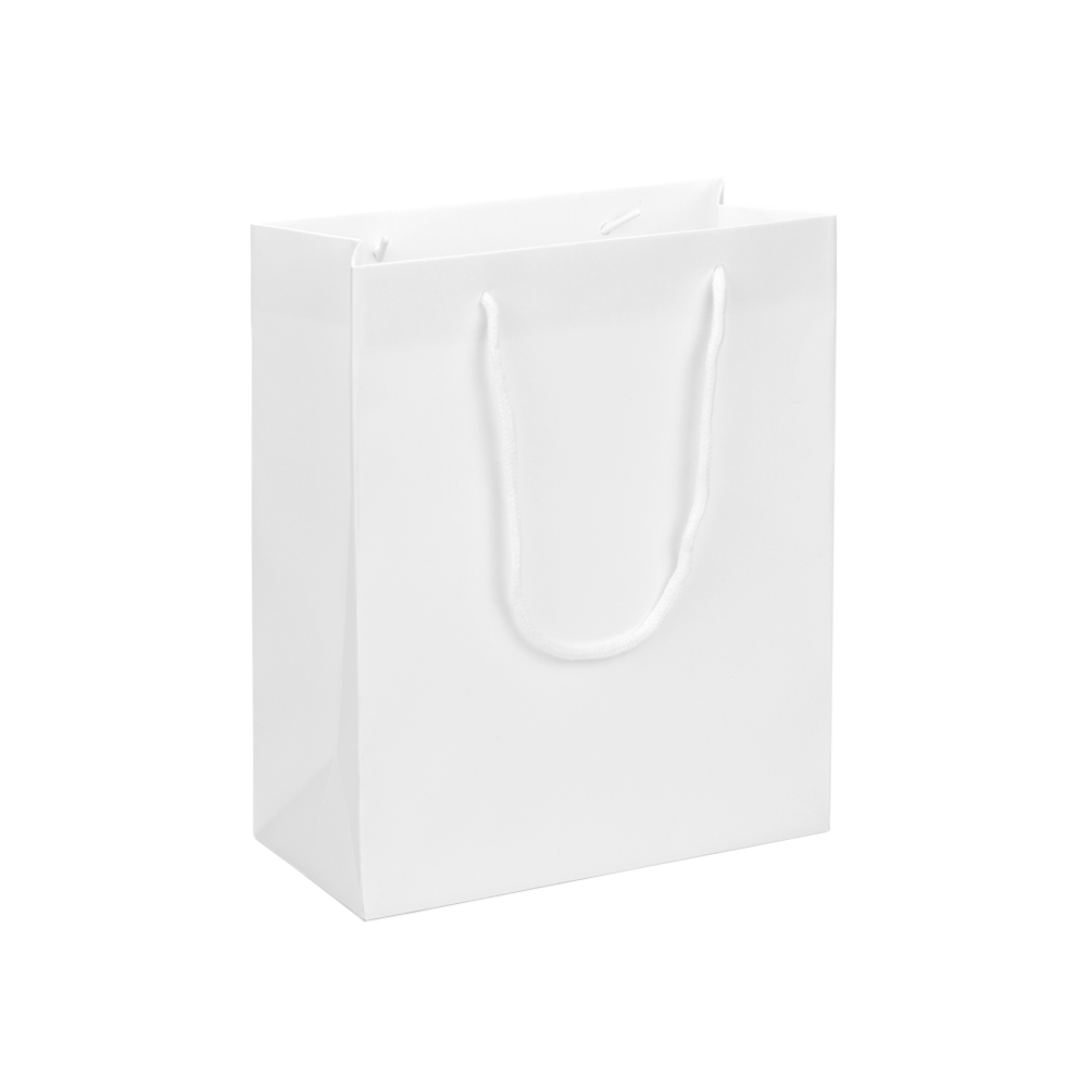 Large Portrait White Paper Gift Bag With Rope Handles